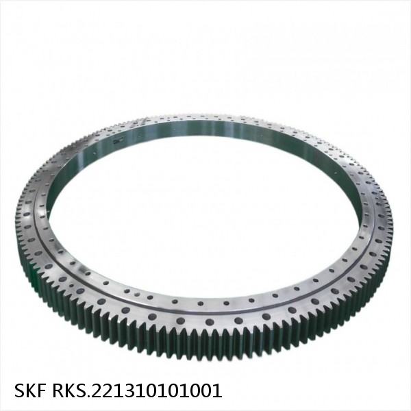 RKS.221310101001 SKF Slewing Ring Bearings