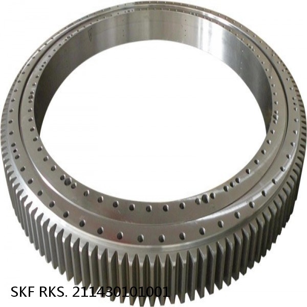 RKS. 211430101001 SKF Slewing Ring Bearings