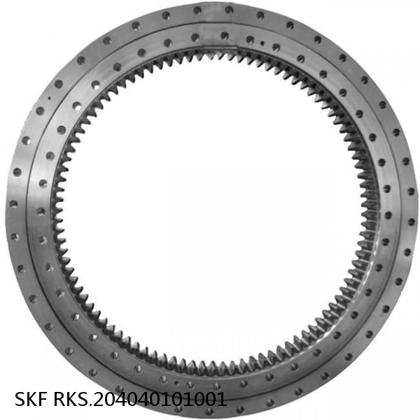 RKS.204040101001 SKF Slewing Ring Bearings