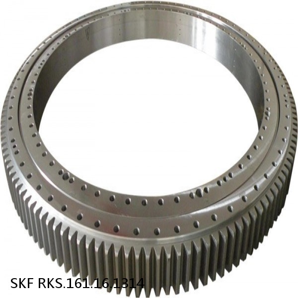 RKS.161.16.1314 SKF Slewing Ring Bearings