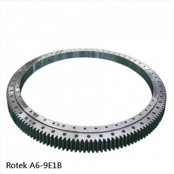 A6-9E1B Rotek Slewing Ring Bearings