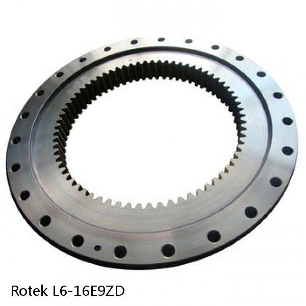 L6-16E9ZD Rotek Slewing Ring Bearings