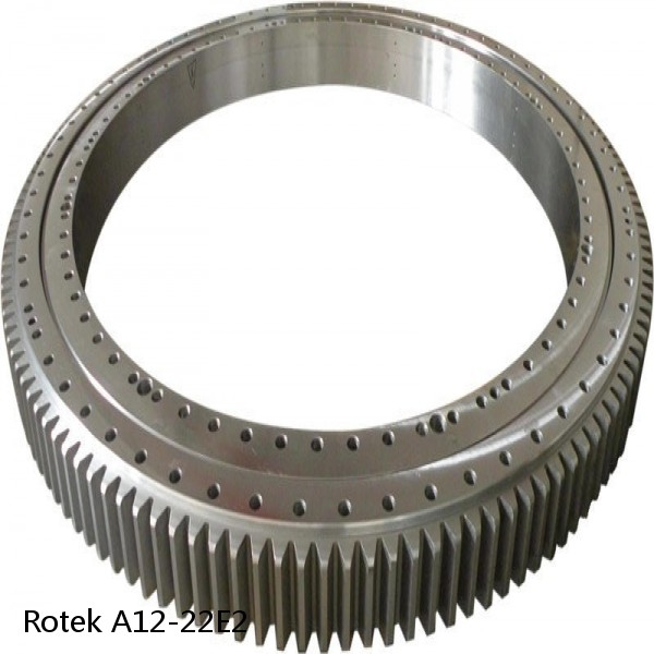 A12-22E2 Rotek Slewing Ring Bearings