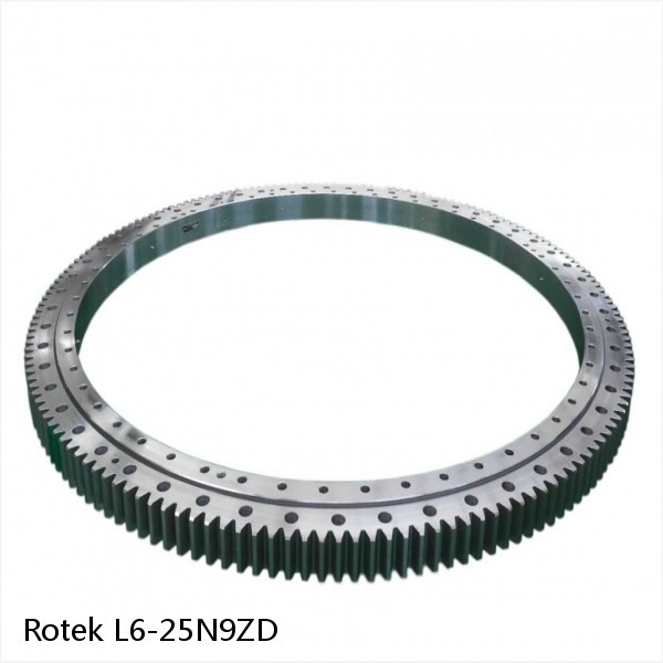 L6-25N9ZD Rotek Slewing Ring Bearings