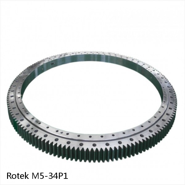 M5-34P1 Rotek Slewing Ring Bearings