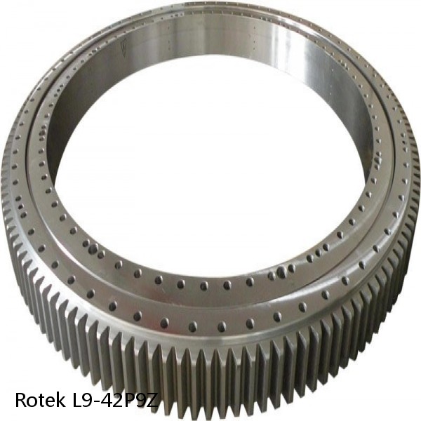 L9-42P9Z Rotek Slewing Ring Bearings