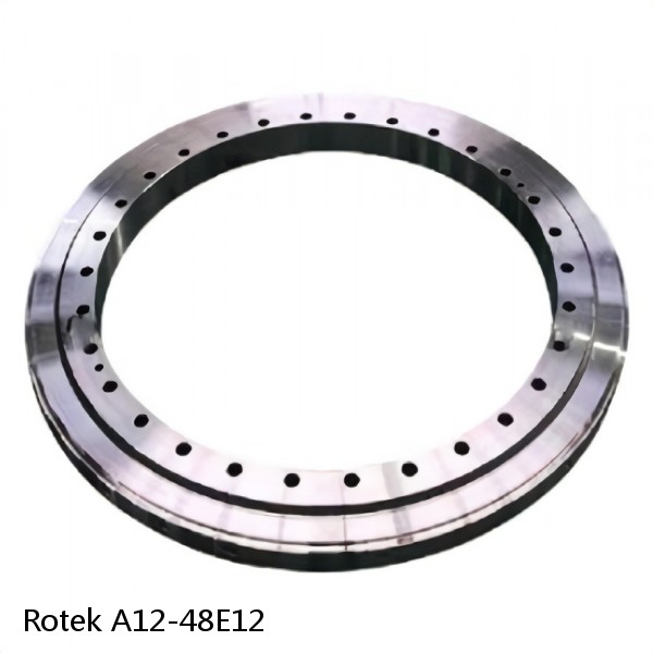 A12-48E12 Rotek Slewing Ring Bearings