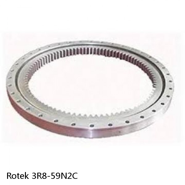 3R8-59N2C Rotek Slewing Ring Bearings