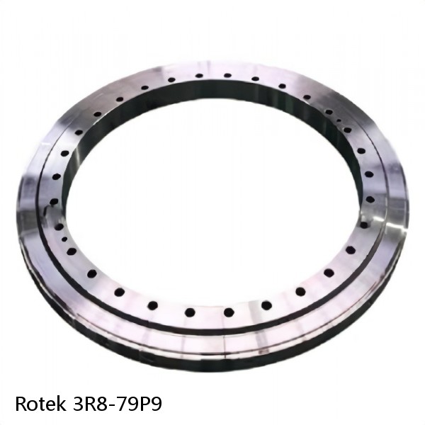 3R8-79P9 Rotek Slewing Ring Bearings