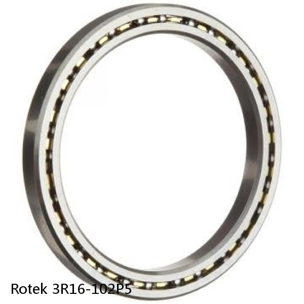 3R16-102P5 Rotek Slewing Ring Bearings