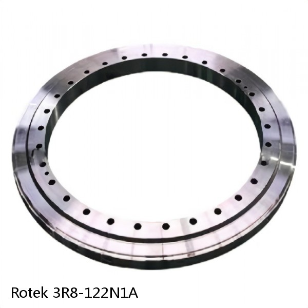 3R8-122N1A Rotek Slewing Ring Bearings