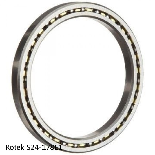 S24-178E1 Rotek Slewing Ring Bearings