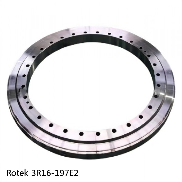 3R16-197E2 Rotek Slewing Ring Bearings