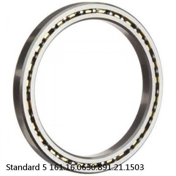 161.16.0630.891.21.1503 Standard 5 Slewing Ring Bearings