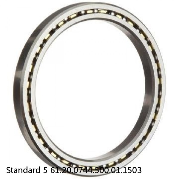 61.20.0744.500.01.1503 Standard 5 Slewing Ring Bearings