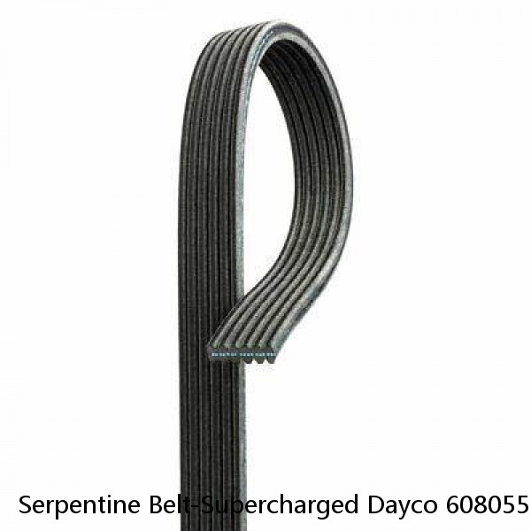 Serpentine Belt-Supercharged Dayco 6080557