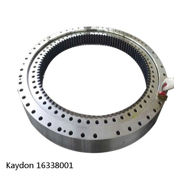 16338001 Kaydon Slewing Ring Bearings #1 small image