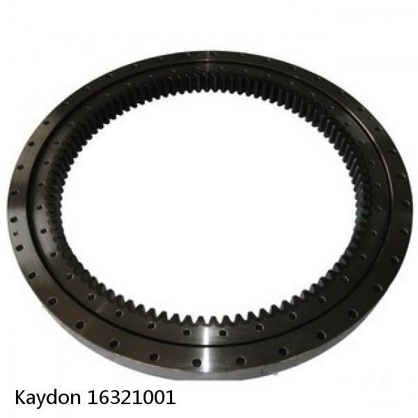 16321001 Kaydon Slewing Ring Bearings #1 small image