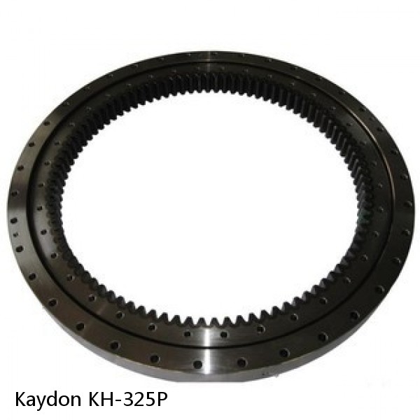 KH-325P Kaydon Slewing Ring Bearings #1 small image