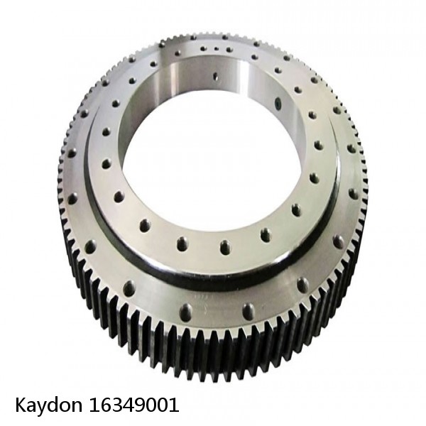 16349001 Kaydon Slewing Ring Bearings #1 small image