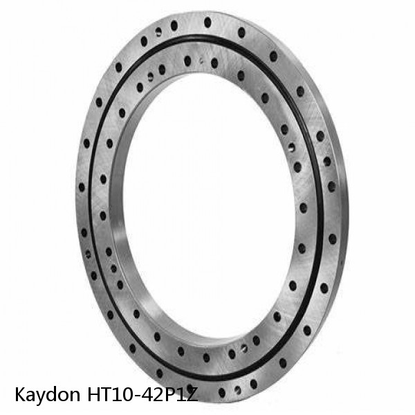 HT10-42P1Z Kaydon Slewing Ring Bearings #1 small image