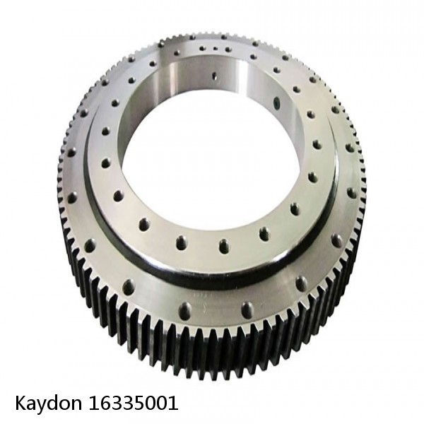 16335001 Kaydon Slewing Ring Bearings #1 small image