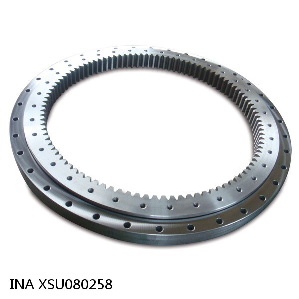 XSU080258 INA Slewing Ring Bearings #1 small image