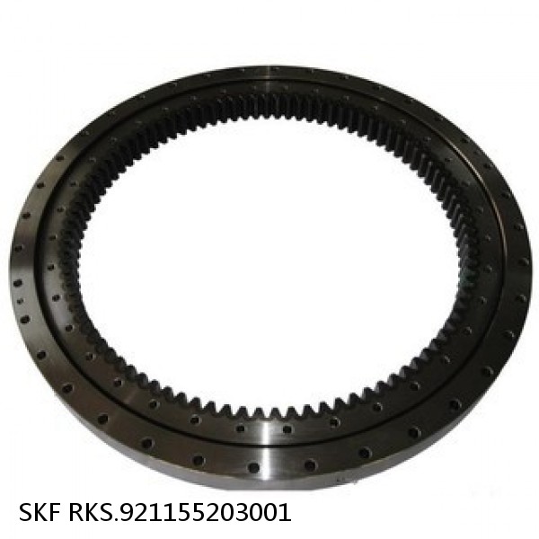 RKS.921155203001 SKF Slewing Ring Bearings #1 small image