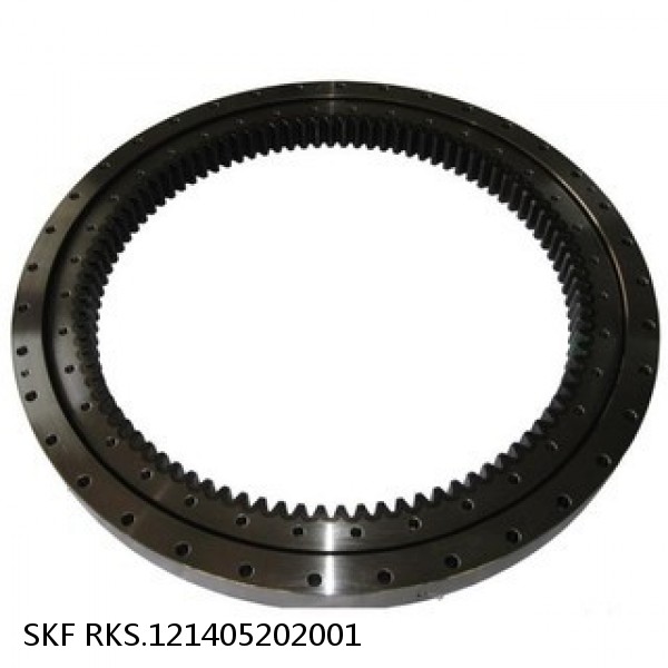 RKS.121405202001 SKF Slewing Ring Bearings #1 small image