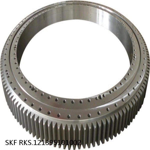 RKS.121395101002 SKF Slewing Ring Bearings #1 small image