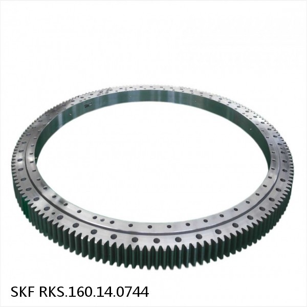 RKS.160.14.0744 SKF Slewing Ring Bearings
