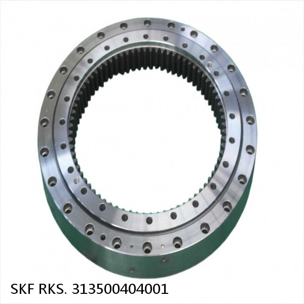 RKS. 313500404001 SKF Slewing Ring Bearings #1 small image