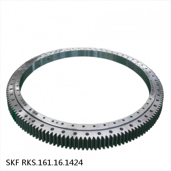 RKS.161.16.1424 SKF Slewing Ring Bearings #1 small image