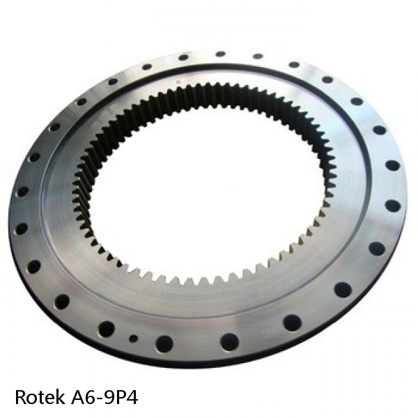 A6-9P4 Rotek Slewing Ring Bearings #1 small image