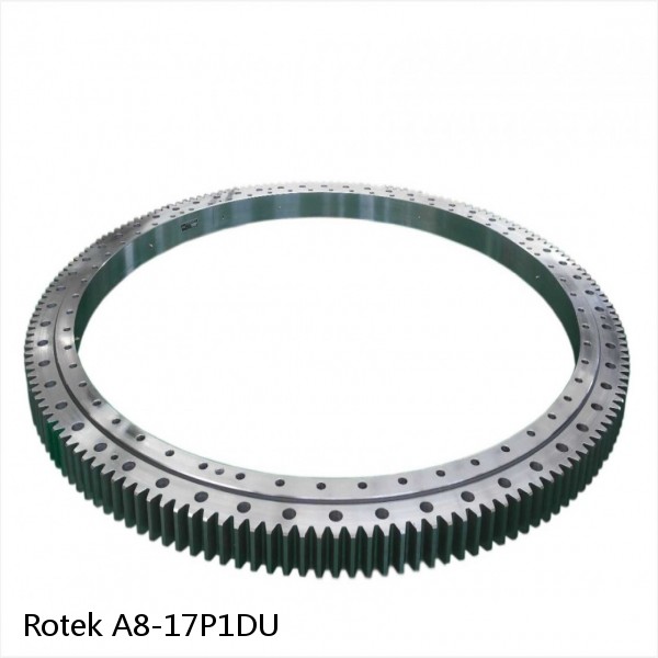 A8-17P1DU Rotek Slewing Ring Bearings #1 small image