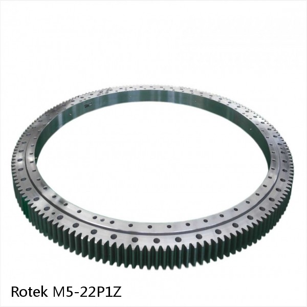 M5-22P1Z Rotek Slewing Ring Bearings #1 small image