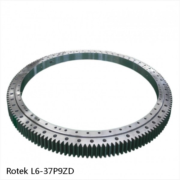 L6-37P9ZD Rotek Slewing Ring Bearings #1 small image