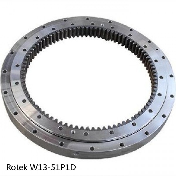 W13-51P1D Rotek Slewing Ring Bearings #1 small image