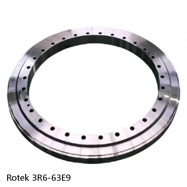 3R6-63E9 Rotek Slewing Ring Bearings #1 small image