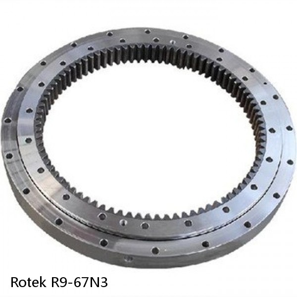 R9-67N3 Rotek Slewing Ring Bearings #1 small image