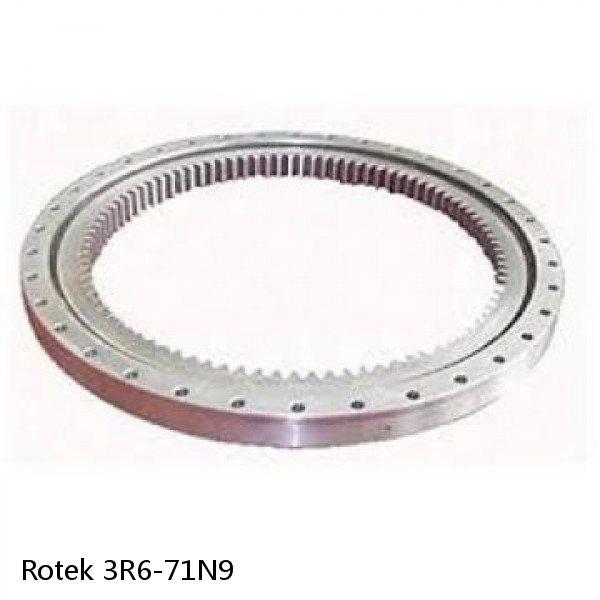 3R6-71N9 Rotek Slewing Ring Bearings #1 small image