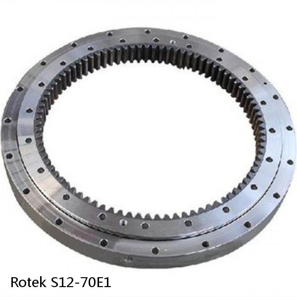 S12-70E1 Rotek Slewing Ring Bearings #1 small image