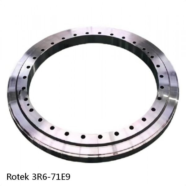 3R6-71E9 Rotek Slewing Ring Bearings #1 small image
