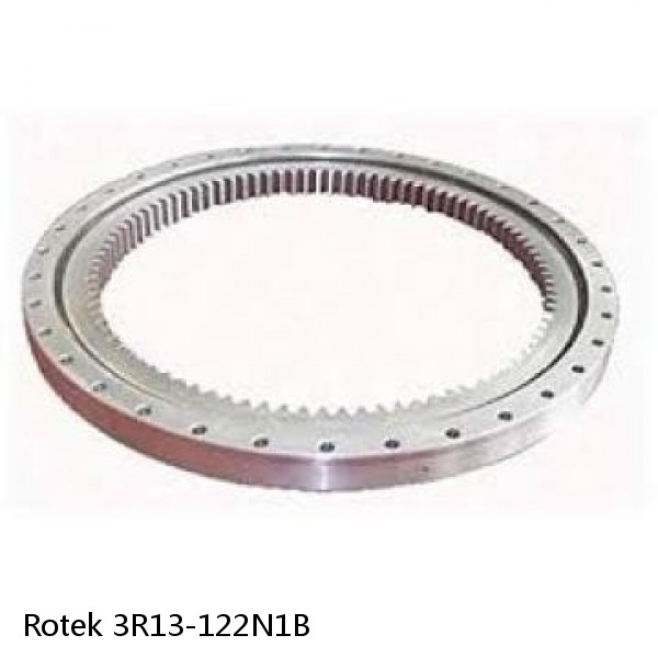 3R13-122N1B Rotek Slewing Ring Bearings