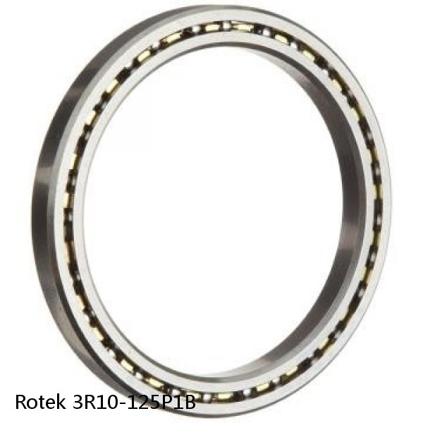 3R10-125P1B Rotek Slewing Ring Bearings #1 small image