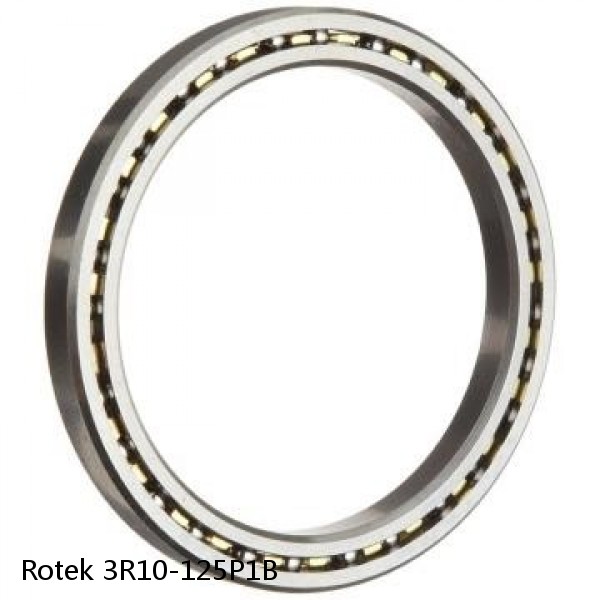 3R10-125P1B Rotek Slewing Ring Bearings