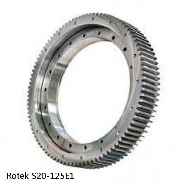 S20-125E1 Rotek Slewing Ring Bearings #1 small image