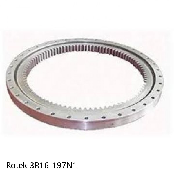 3R16-197N1 Rotek Slewing Ring Bearings #1 small image