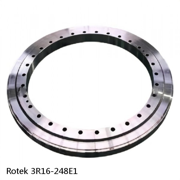 3R16-248E1 Rotek Slewing Ring Bearings #1 small image