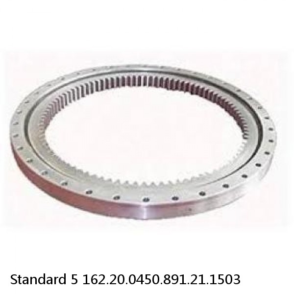 162.20.0450.891.21.1503 Standard 5 Slewing Ring Bearings #1 small image